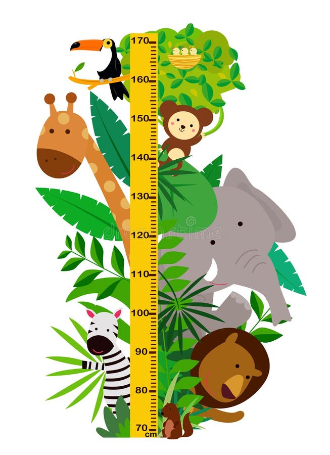 Height Chart Clipart