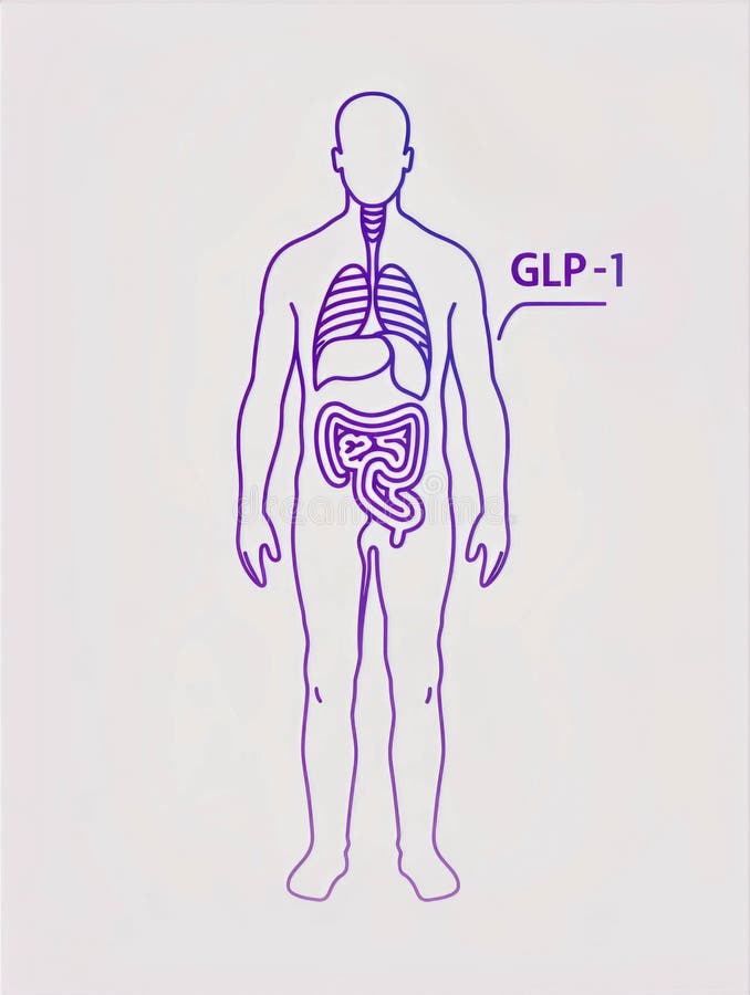 GLP-1 Pills: The Ultimate Guide to Weight Loss Success