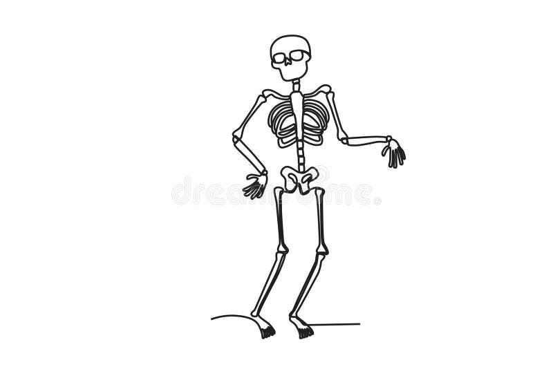 Illustration of a Human Skeleton Stock Vector Illustration of death