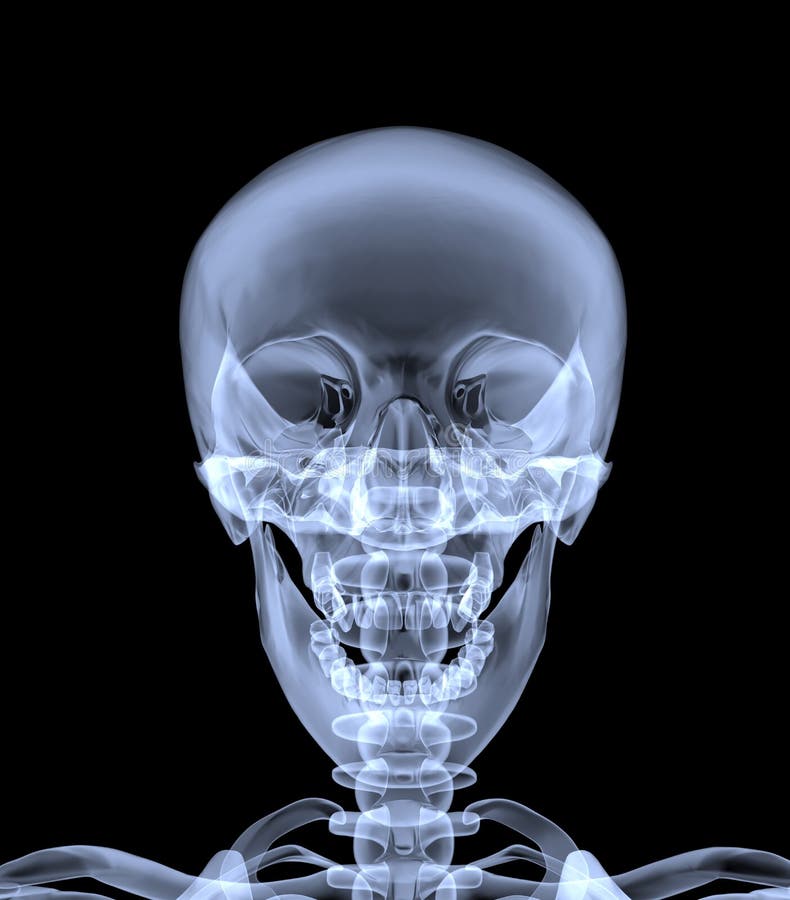 My Image 24