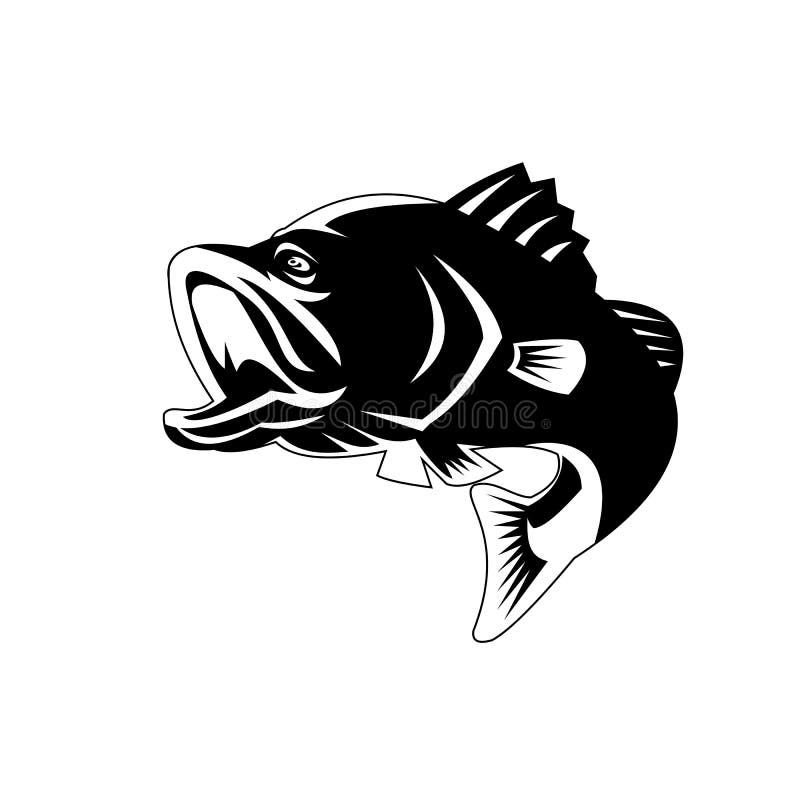 Largemouth Bass Drawing Black And White