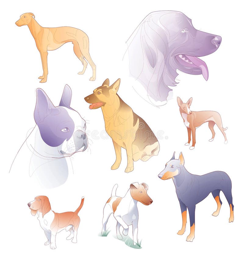 Illustration of line and spot colors of various breeds of dogs vector illustration Illustration of line and spot colors of various breeds of dogs vector illustration