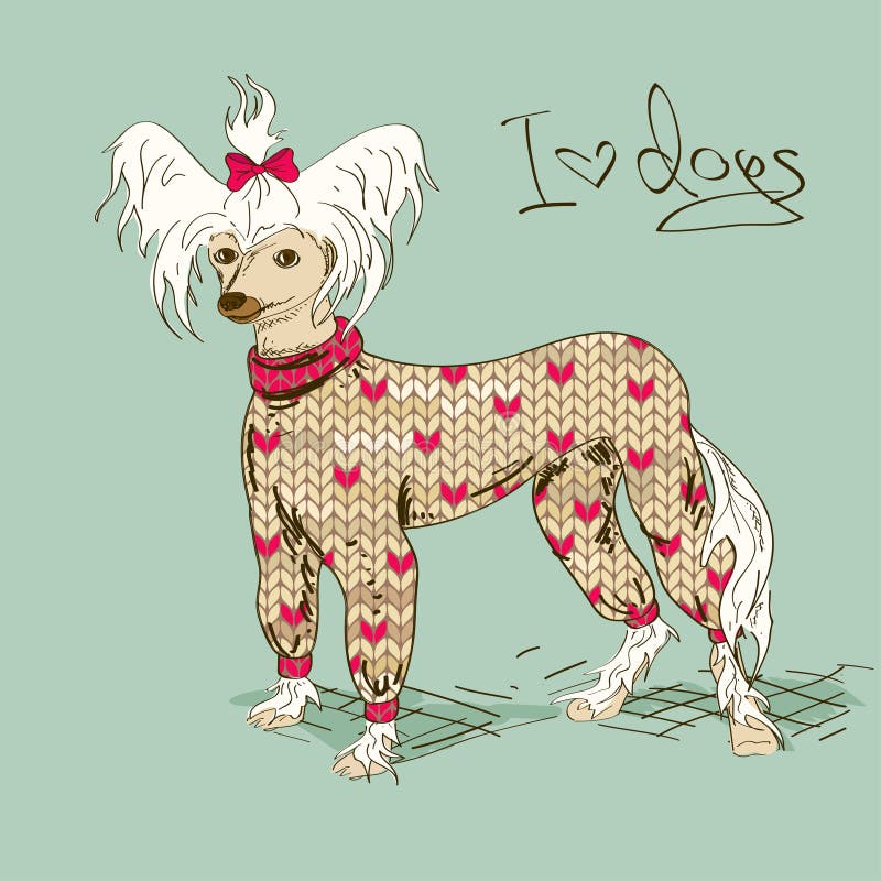 Illustration med den kines krönade hunden vektor illustrationer Illustration med den kines krönade hunden vektor illustrationer