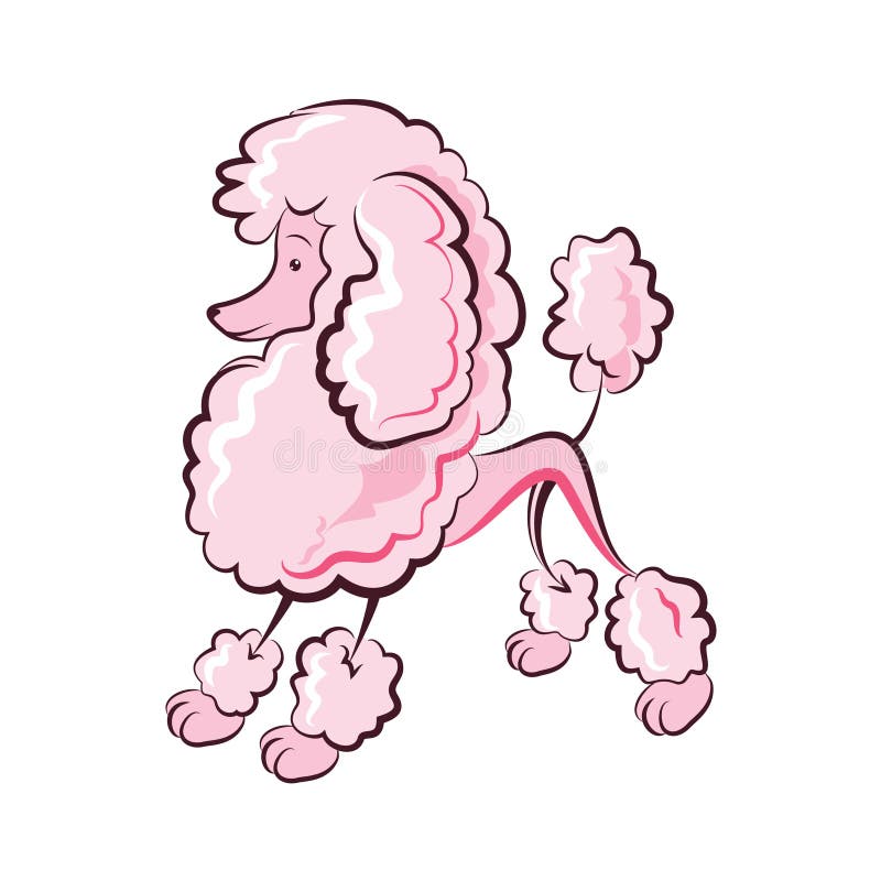 Caniche rose illustration de vecteur. Illustration du beau 35150869