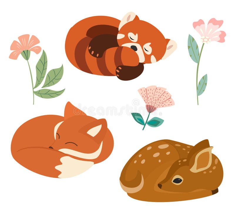 Illustration mignonne de vecteur avec peu de renard, panda rouge et cerfs communs d'isolement sur le fond blanc Peut être employé illustration de vecteur Illustration mignonne de vecteur avec peu de renard, panda rouge et cerfs communs d'isolement sur le fond blanc Peut être employé illustration de vecteur