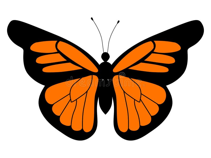 Illustration of monarch butterfly