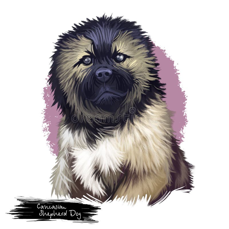 Illustration numérique d'art de berger de race caucasienne de chien illustration libre de droits Illustration numérique d'art de berger de race caucasienne de chien illustration libre de droits