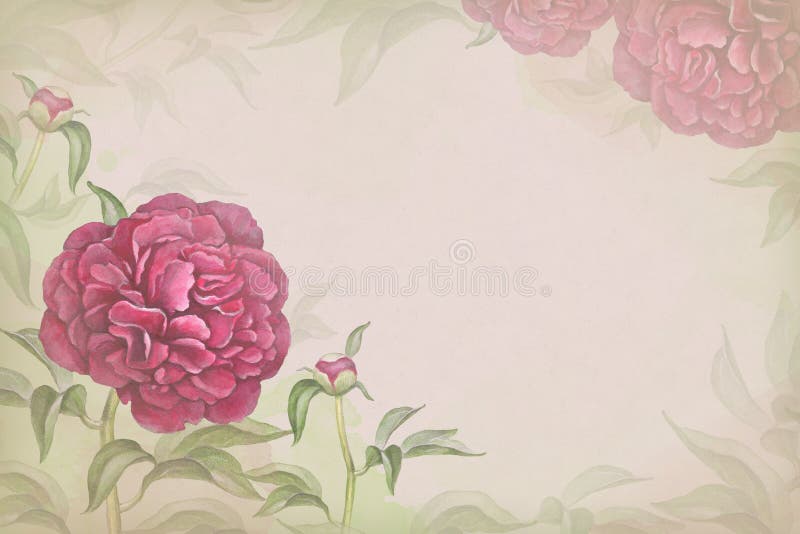 Illustration of peony flower. Perfect