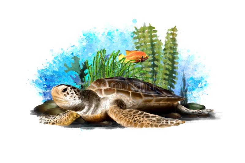 Underwater tropical world with a turtle on an abstract background. royalty free illustration Underwater tropical world with a turtle on an abstract background. royalty free illustration