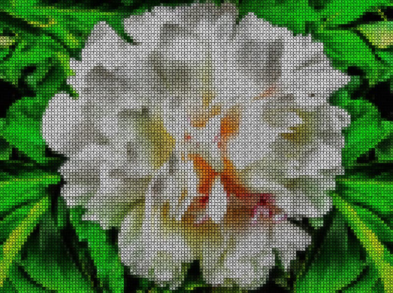Kit Point De Croix Floraison Garden - Broderie Créative Sur Toile Aïda 38x62 Cm