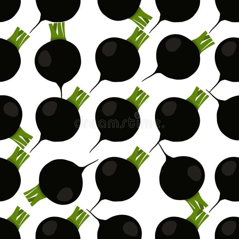 Illustration på temat ljusmönstret svart rädisa stock illustrationer