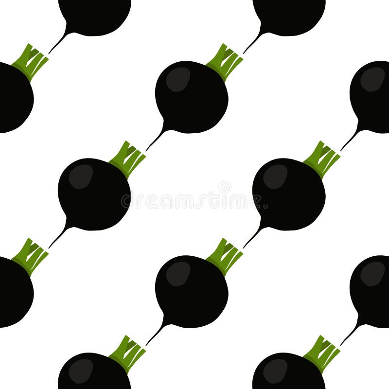 Illustration på temat ljusmönstret svart rädisa stock illustrationer