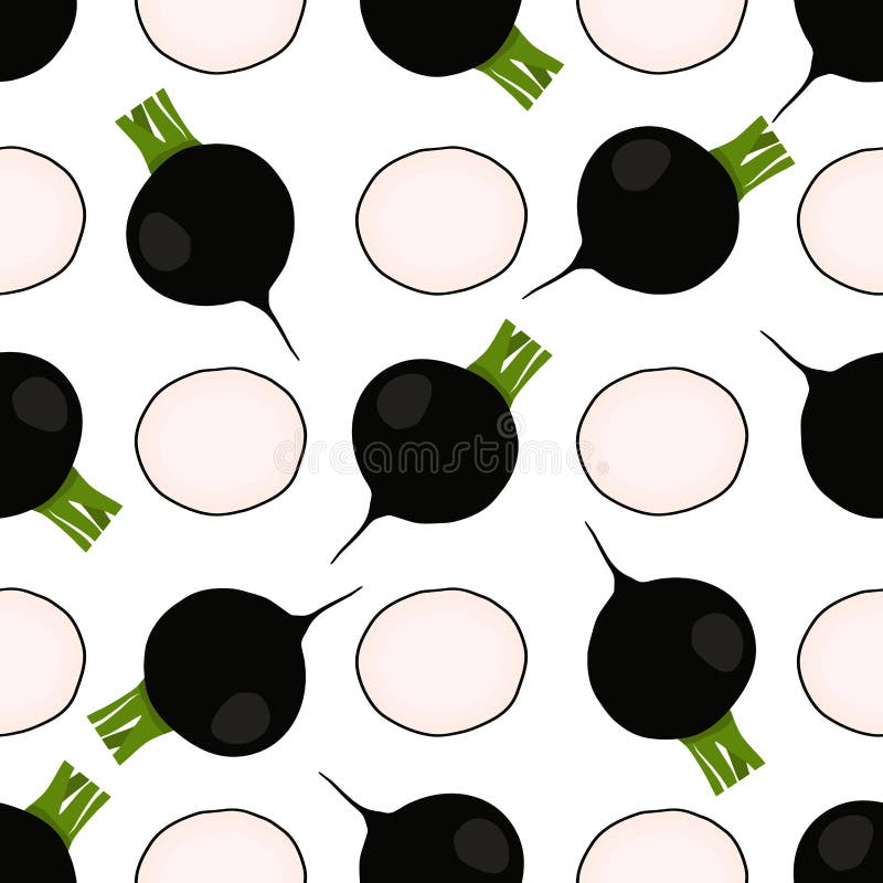 Illustration på temat ljusmönstret svart rädisa vektor illustrationer