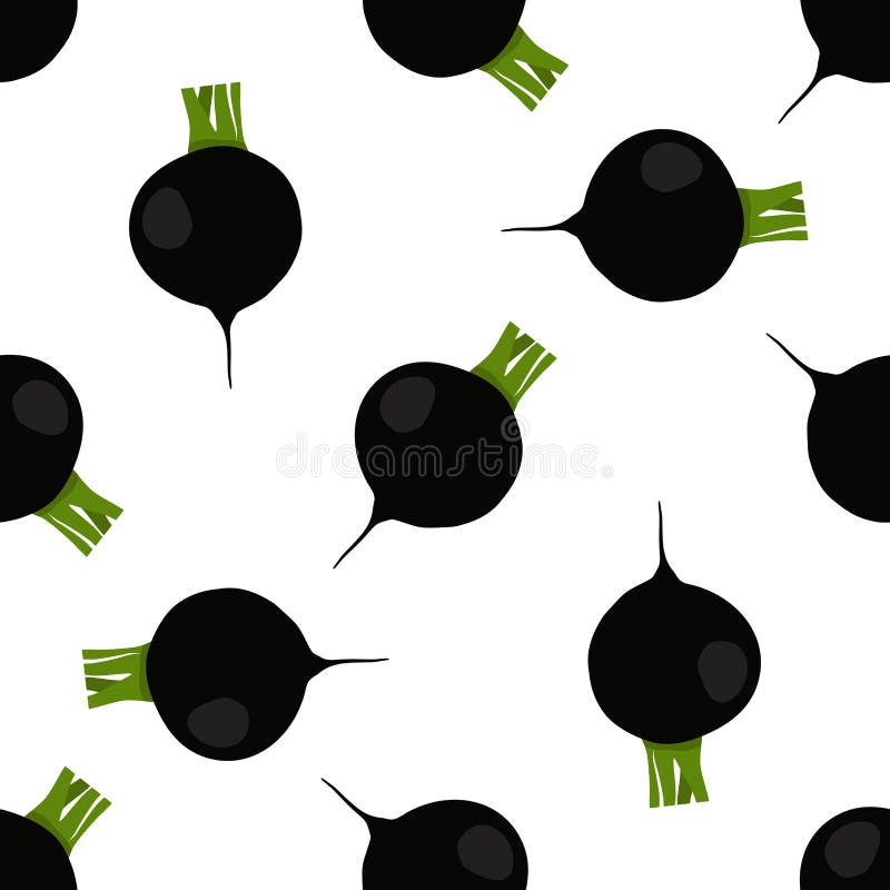 Illustration på temat ljusmönstret svart rädisa vektor illustrationer