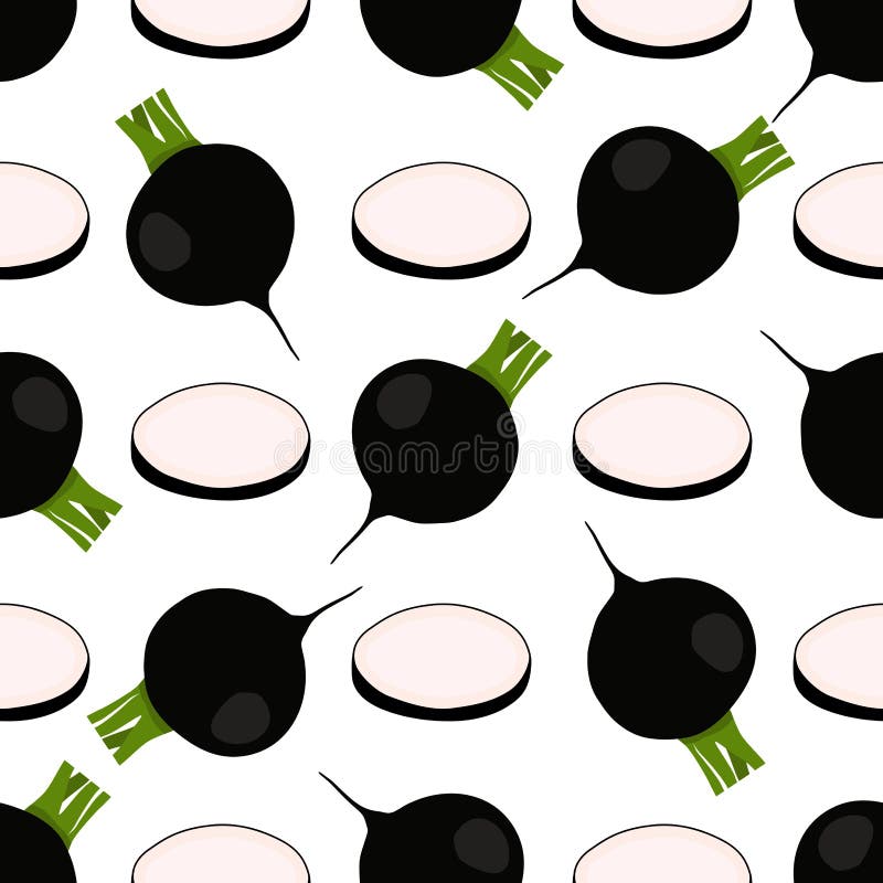 Illustration på temat ljusmönstret svart rädisa royaltyfri illustrationer