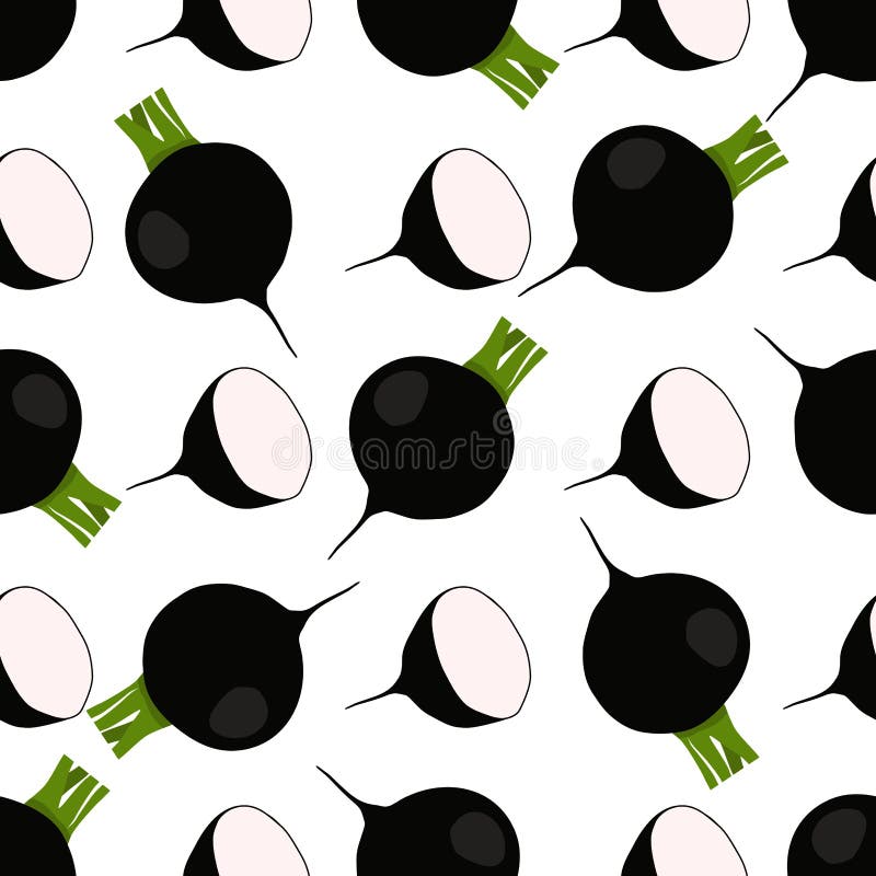 Illustration på temat ljusmönstret svart rädisa vektor illustrationer