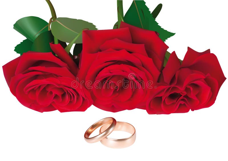 Red Roses Wedding Rings Stock Illustrations 127 Red Roses Wedding