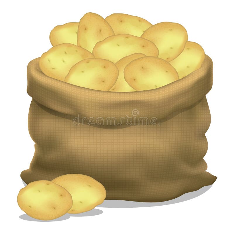 Potatoes Illustration stock illustration. Illustration of clipart 7248255