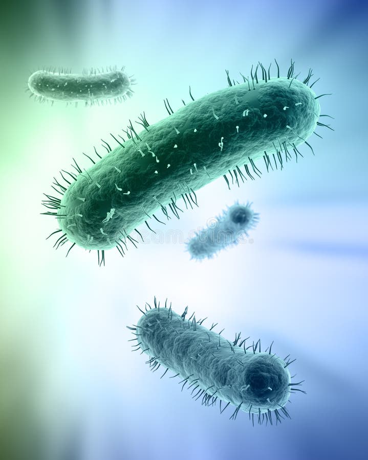 Illustration scientifique des bactéries photos libres de droits Illustration scientifique des bactéries photos libres de droits