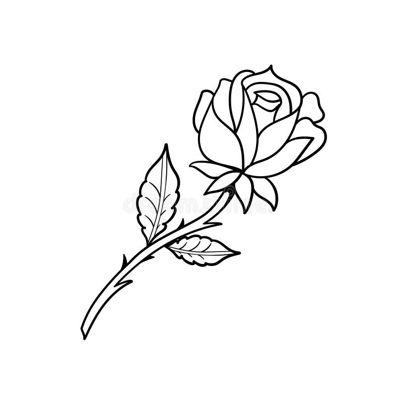 5 realistic roses of tattoo designs in black and grey style. –  TattooDesignStock