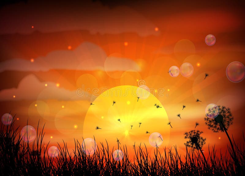 Illustration of sunrise and dragonfly