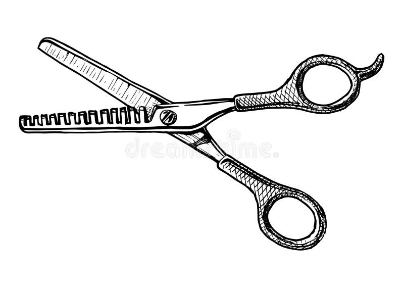 https://thumbs.dreamstime.com/b/illustration-thinning-shears-vector-hand-drawn-vintage-engraved-style-isolated-white-background-black-white-scissors-93810432.jpg