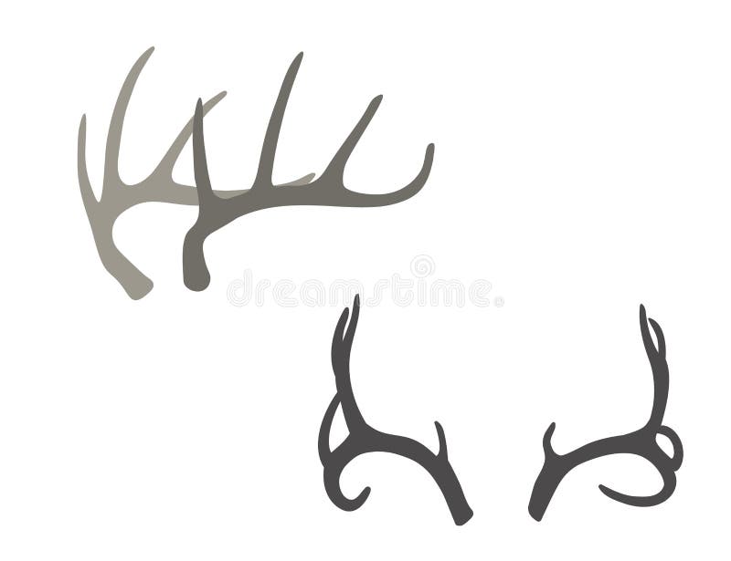 Illustration tirée par la main de vecteur d'andouillers de cerfs communs Éléments de conception de Boho illustration de vecteur Illustration tirée par la main de vecteur d'andouillers de cerfs communs Éléments de conception de Boho illustration de vecteur