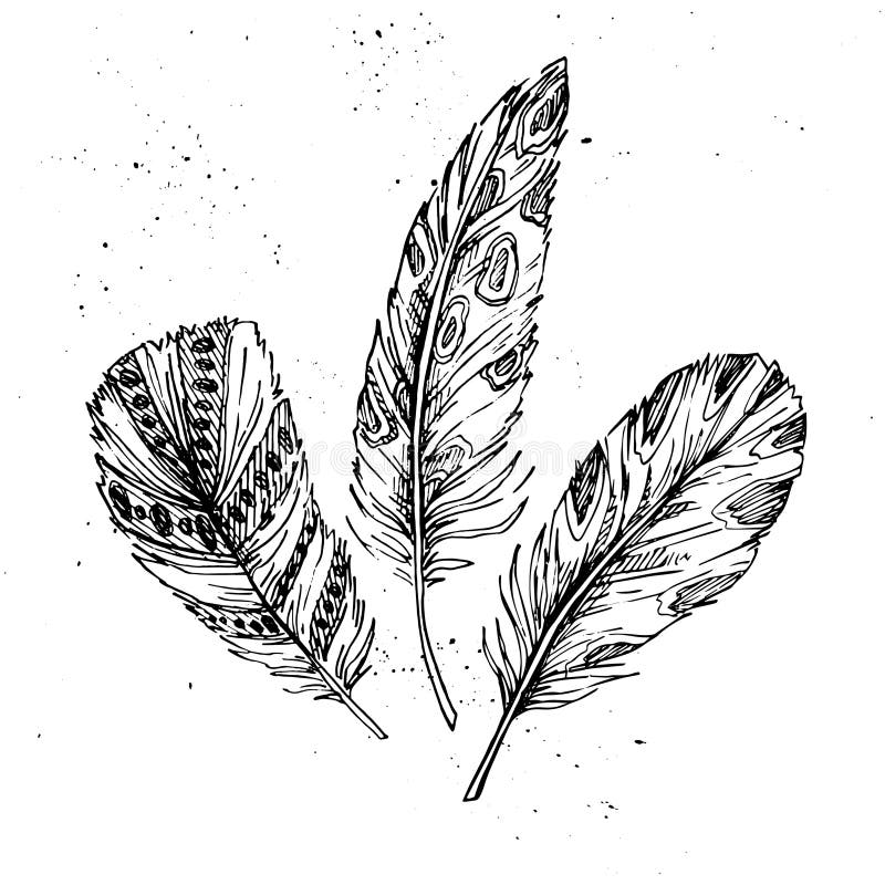 Hand drawn vector vintage illustration - Feathers. Ink and feather. Hand drawn vector vintage illustration - Feathers. Ink and feather