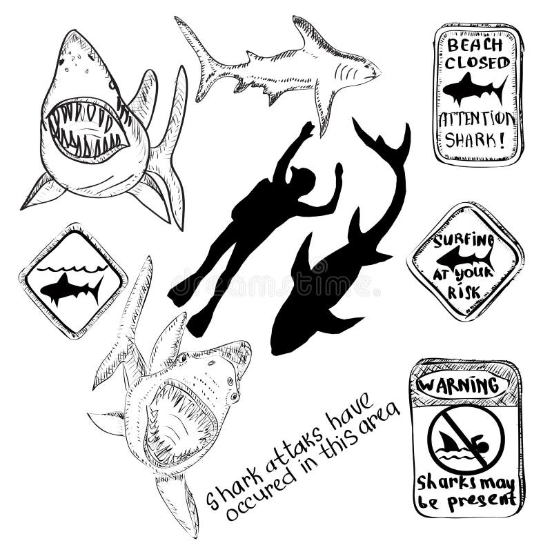 Hand drawn illustration. Sharks, divers, danger signs. Sketches. Hand written words. Hand drawn illustration. Sharks, divers, danger signs. Sketches. Hand written words.