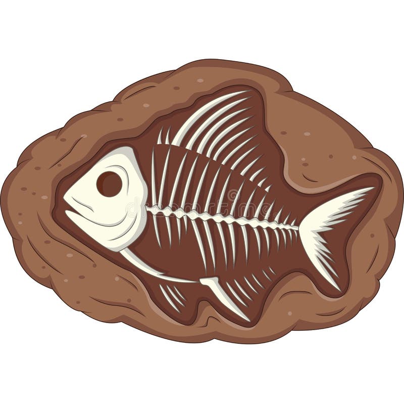 Top 65+ imagen fossil clipart