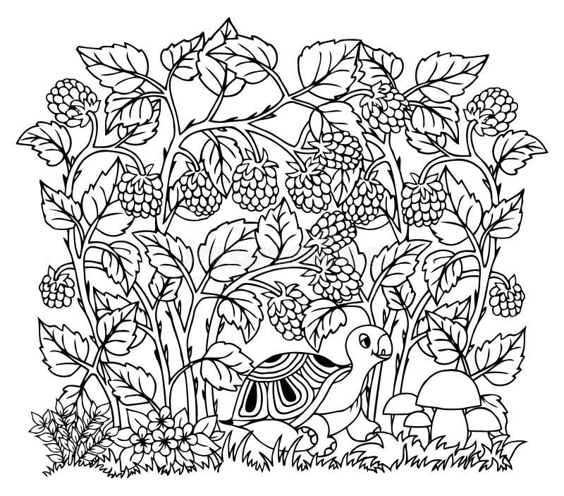 Illustration d'une tortue dans une clairière entre les arbustes de framboise. coloriage. antistress pour adultes et enfants. le tr