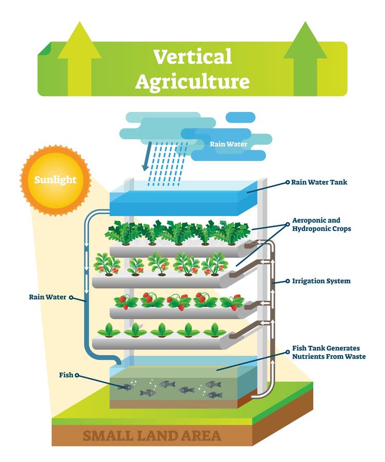 Illustration verticale de vecteur de plan d'environnement d'agriculture Poissons et sol illustration libre de droits Illustration verticale de vecteur de plan d'environnement d'agriculture Poissons et sol illustration libre de droits