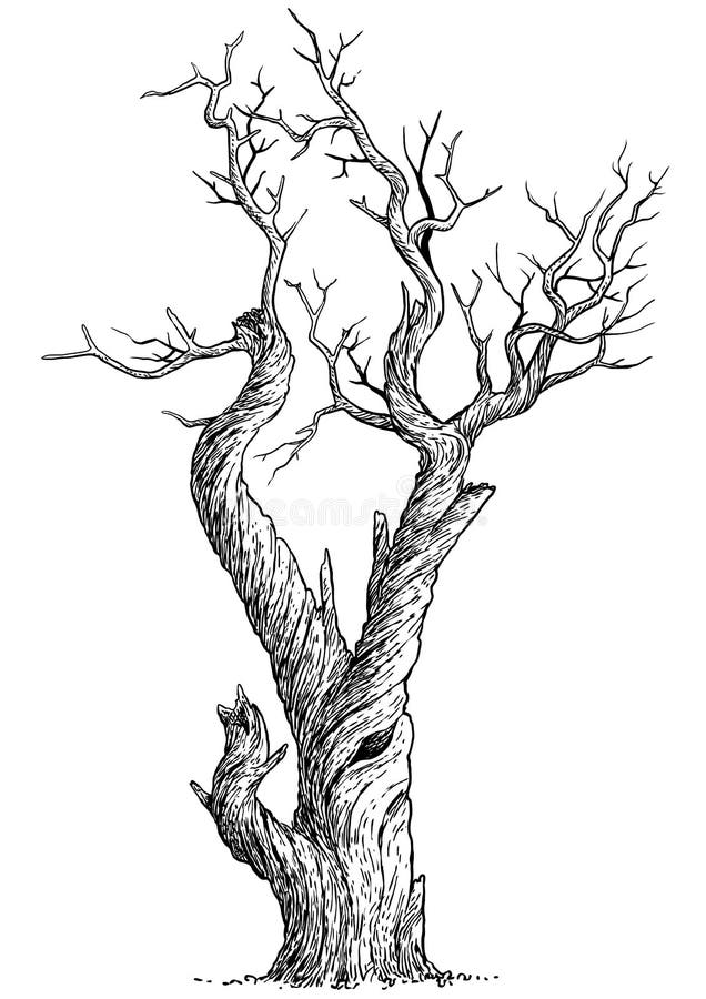 creepy dead tree sketch