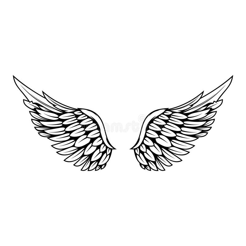 Small wing tattoo | Feather tattoos, Tattoos, Wings tattoo