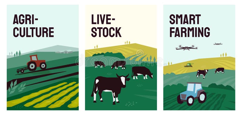 Vector illustrations of agriculture, farming, livestock, tractor plows on field, farmland, landscape, cow in pasture. Smart farm with drone control. Template for banner, poster, flyer, report, web, ad. Vector illustrations of agriculture, farming, livestock, tractor plows on field, farmland, landscape, cow in pasture. Smart farm with drone control. Template for banner, poster, flyer, report, web, ad