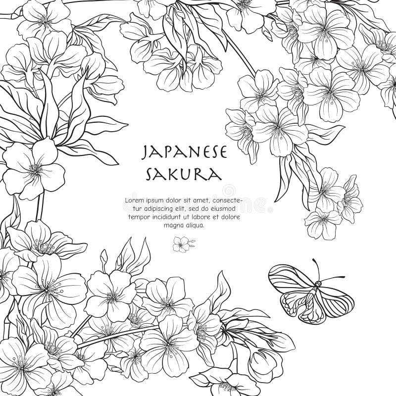 illustrations with japanese blossom sakura stock vector illustration of asian asia 100441018