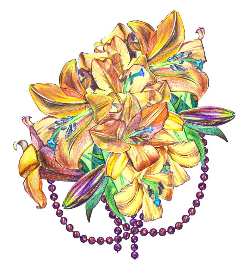 Illustrations of lily flowers. Perfect for greeting card or invitation royalty free illustration Illustrations of lily flowers. Perfect for greeting card or invitation royalty free illustration