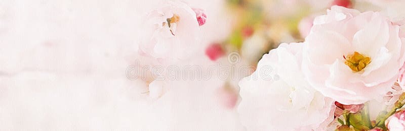 Roses Flowers on Watercolor Background - Facebook Cover Stock Illustration  - Illustration of amour, ethereal: 187656191