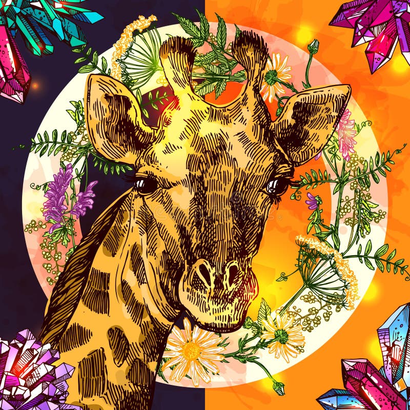 Illustrationsporträt og Giraffe Beautful Hand gezeichnete lizenzfreie abbildung Illustrationsporträt og Giraffe Beautful Hand gezeichnete lizenzfreie abbildung