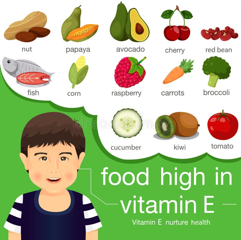 Illustrator of Food High in Vitamin E Stock Vector Illustration of design, nutrition 86630385