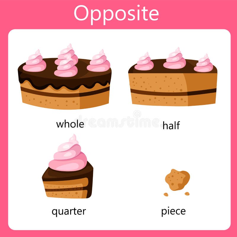 Illustrator Opposite set whole half quarter and piece vector illustration