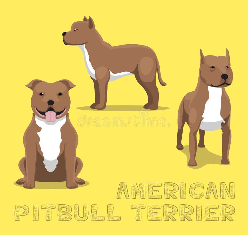 Illustrazione Americana Di Vettore Del Fumetto Del Pitbull Terrier Del