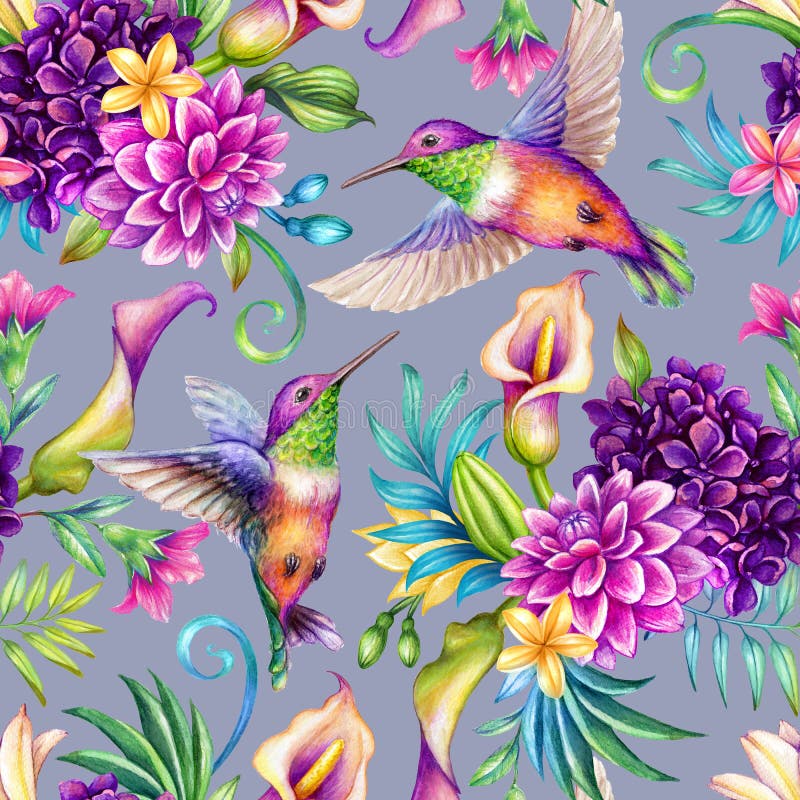 Digital watercolor botanical illustration, seamless floral pattern, humming birds, wild tropical flowers, violet background. Paradise nature, garden. Palm leaf, calla lily, plumeria, hydrangea, gerber. Digital watercolor botanical illustration, seamless floral pattern, humming birds, wild tropical flowers, violet background. Paradise nature, garden. Palm leaf, calla lily, plumeria, hydrangea, gerber