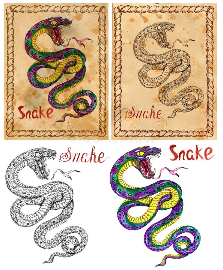 Illustrazione con l'animale dello zodiaco - serpente royalty illustrazione gratis Illustrazione con l'animale dello zodiaco - serpente royalty illustrazione gratis
