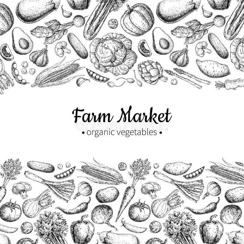 Illustrazione d'annata disegnata a mano di verdure di vettore Manifesto del mercato dell'azienda agricola Insieme del vegetariano royalty illustrazione gratis Illustrazione d'annata disegnata a mano di verdure di vettore Manifesto del mercato dell'azienda agricola Insieme del vegetariano royalty illustrazione gratis