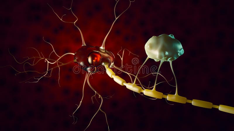 Illustrazione 3d di anatomia del neurone, il nero isolato infographic illustrazione vettoriale