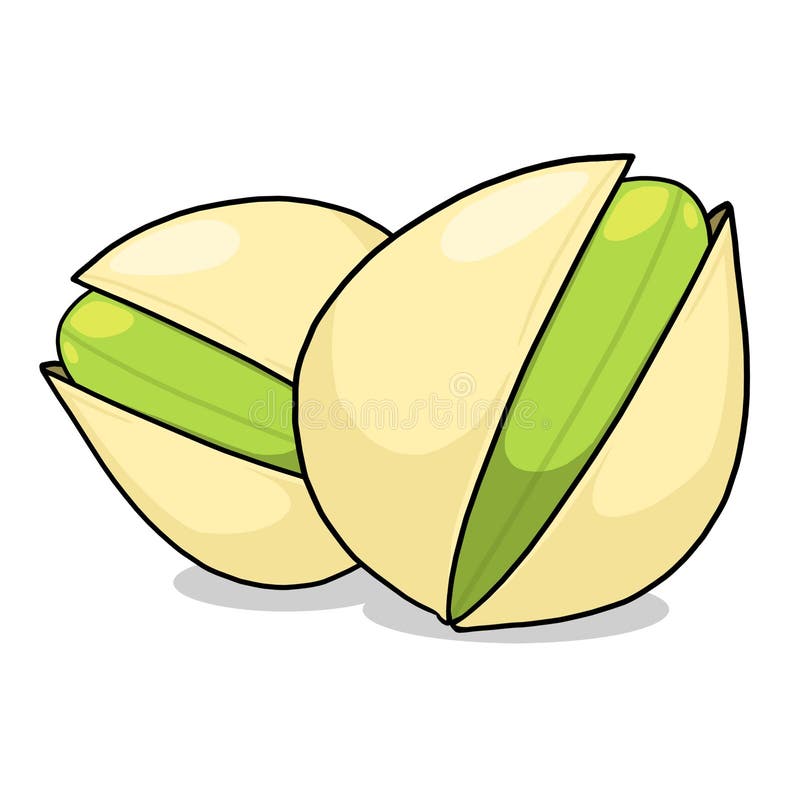 Illustrazione dei pistacchi illustrazione di stock