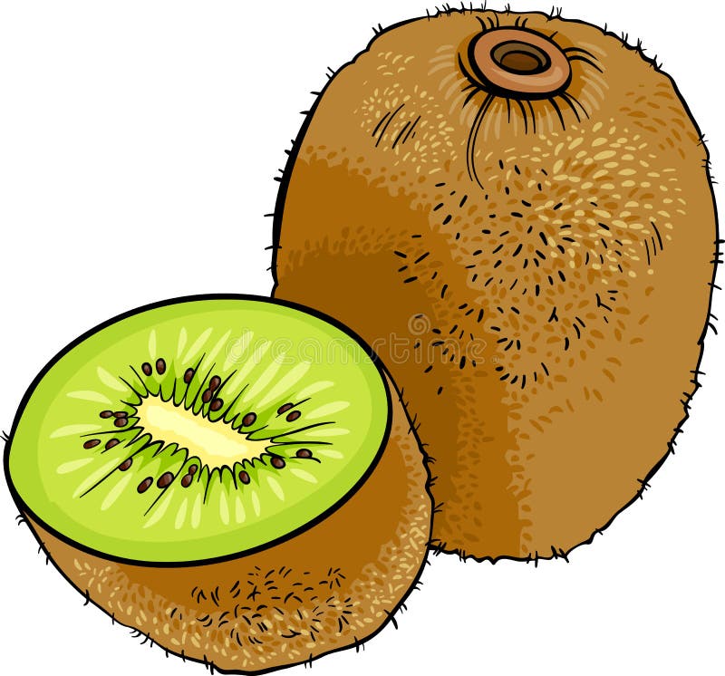 Illustrazione del fumetto del kiwi illustrazione di stock
