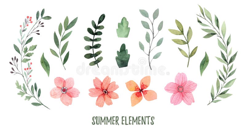 Illustrazione dell'acquerello Fogliame di estate Raccolta botanica di illustrazione vettoriale Illustrazione dell'acquerello Fogliame di estate Raccolta botanica di illustrazione vettoriale