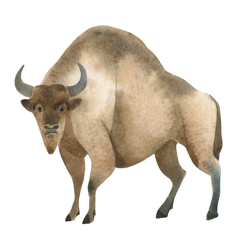 Illustrazione dell'acquerello su fondo bianco Metta di bizon marrone enorme Schizzo semplice degli animali selvaggi della foresta illustrazione vettoriale Illustrazione dell'acquerello su fondo bianco Metta di bizon marrone enorme Schizzo semplice degli animali selvaggi della foresta illustrazione vettoriale